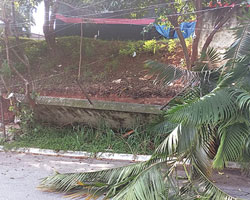 Foto: Divulga&ccedil;&atilde;o