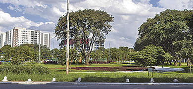 Foto: Gabriel Moura/AGZN