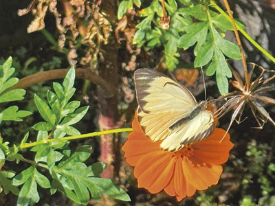 Foto: Divulga&ccedil;&atilde;o