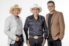 Foto: Divulga&ccedil;&atilde;o