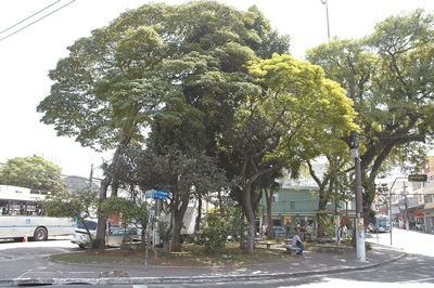Foto: AGZN