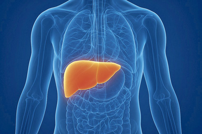 Foto: Divulga&ccedil;&atilde;o