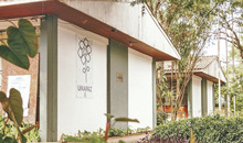 Foto: Divulga&ccedil;&atilde;o