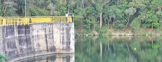 Foto: Ag&ecirc;ncia Brasil/Rovena Rosa