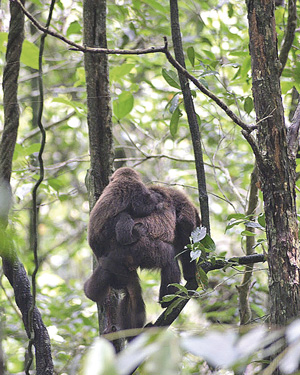 Foto: Divulga&ccedil;&atilde;o