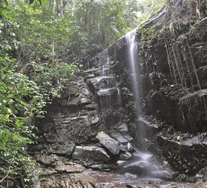 Foto: Divulga&ccedil;&atilde;o