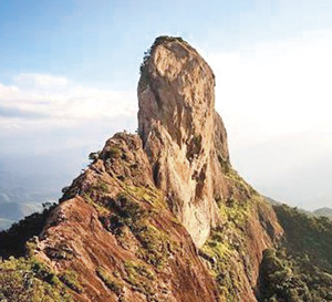 Foto: Divulga&ccedil;&atilde;o