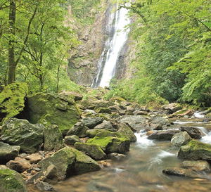 Foto: Divulga&ccedil;&atilde;o