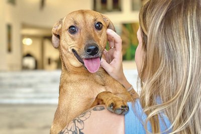 Foto: Divulga&ccedil;&atilde;o