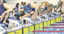 Foto: Divulga&ccedil;&atilde;o