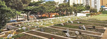 Foto: Divulga&ccedil;&atilde;o