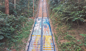 Foto: Divulga&ccedil;&atilde;o