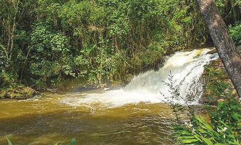 Foto: Divulga&ccedil;&atilde;o